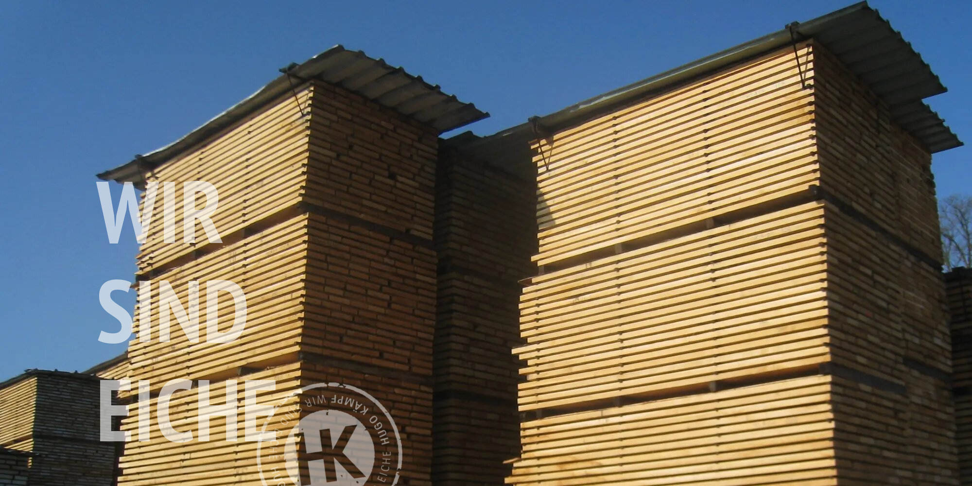 Eiche parallel besäumt