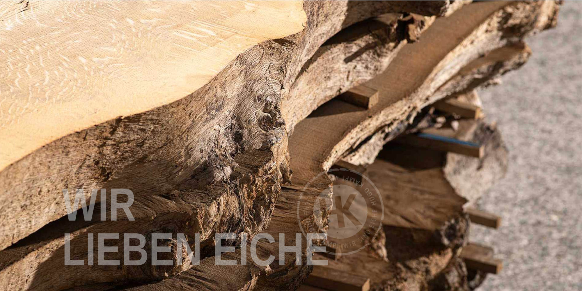 SCHNITTHOLZ MIT BAUMKANTE