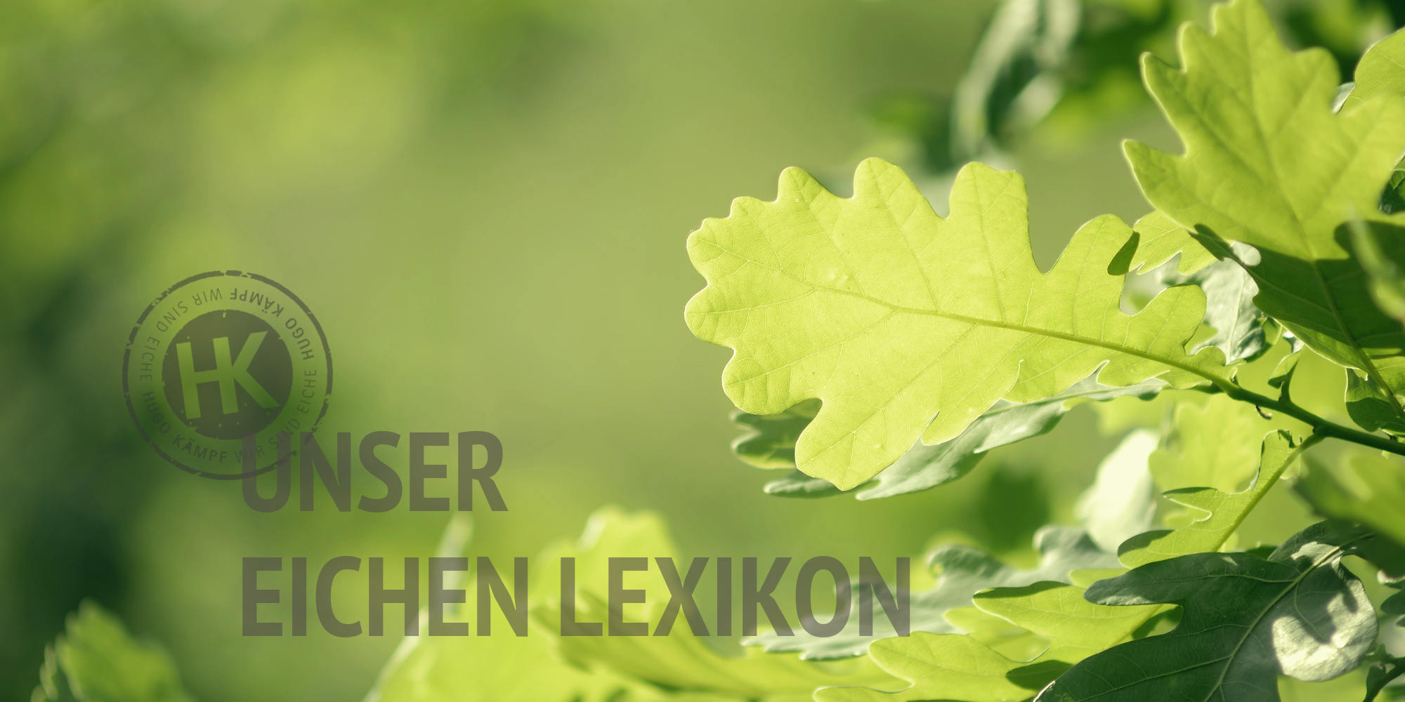 Eichenlexikon